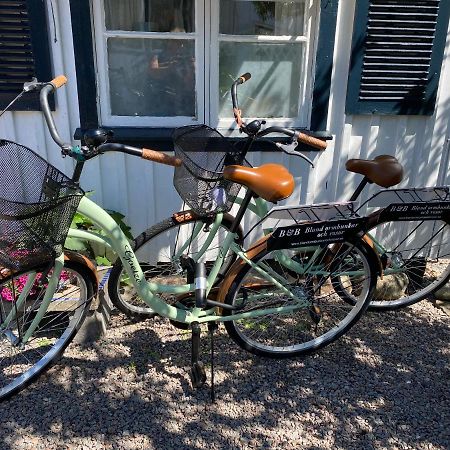 B&B Bland Ormbunkar Och Rosor Falkenberg Eksteriør bilde