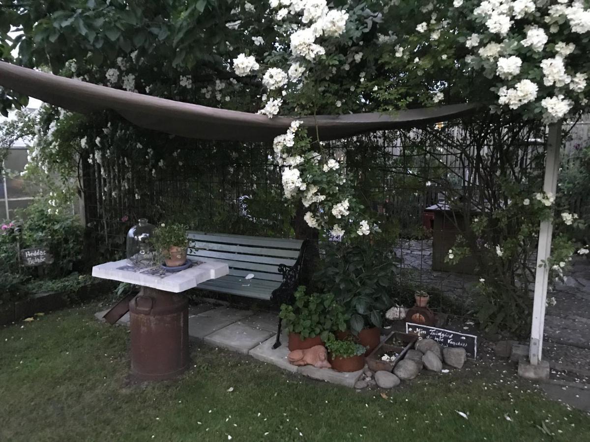B&B Bland Ormbunkar Och Rosor Falkenberg Eksteriør bilde
