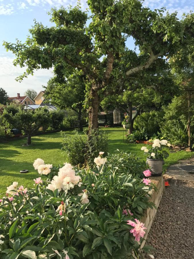 B&B Bland Ormbunkar Och Rosor Falkenberg Eksteriør bilde