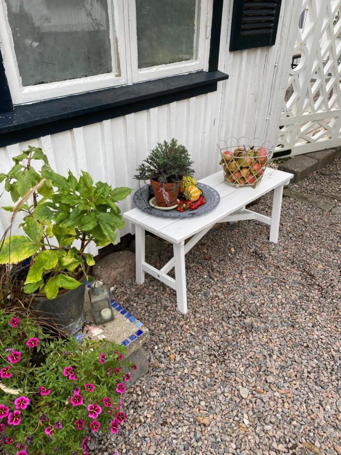 B&B Bland Ormbunkar Och Rosor Falkenberg Eksteriør bilde
