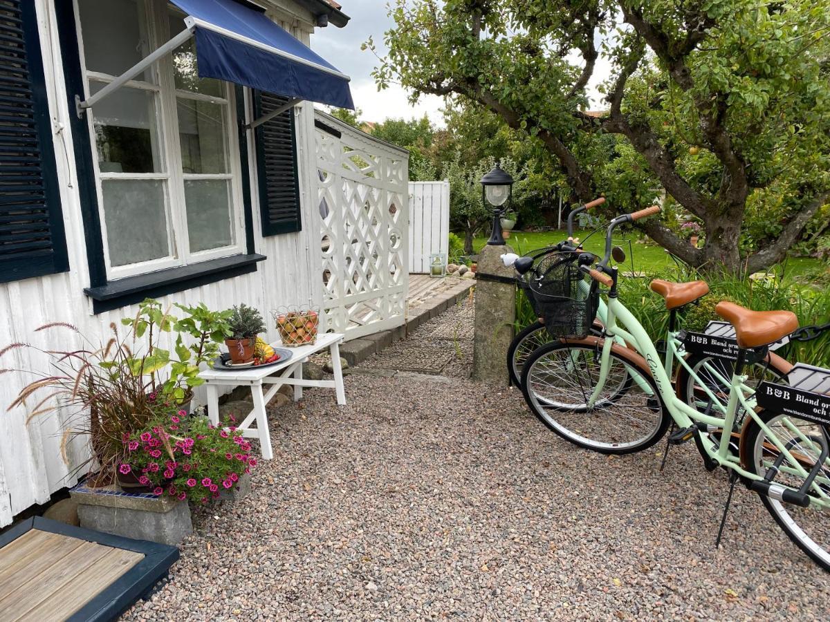 B&B Bland Ormbunkar Och Rosor Falkenberg Eksteriør bilde